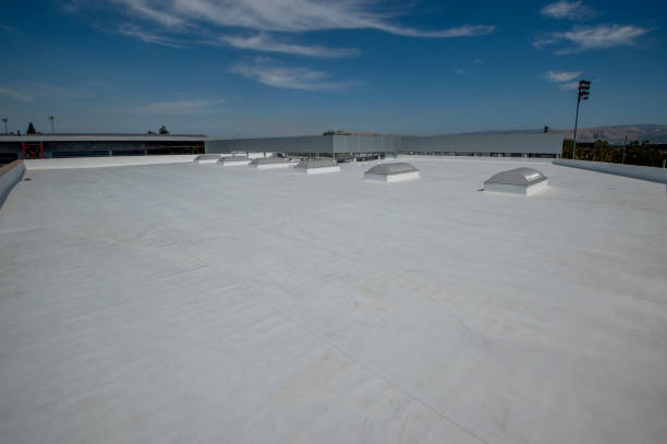 Best Roof Coating and Sealing  in Leesburg, VA