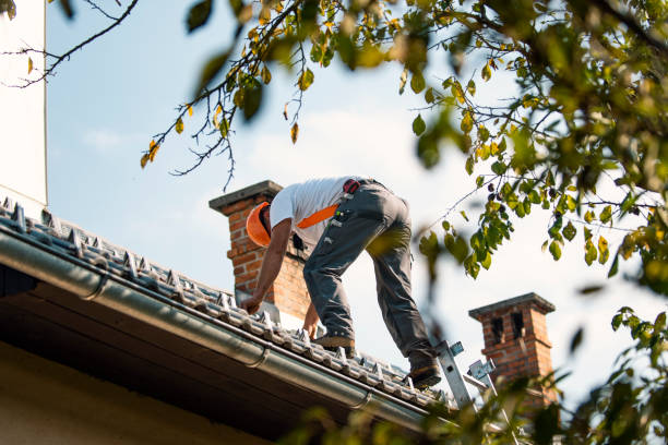 Best Chimney Flashing Repair  in Leesburg, VA