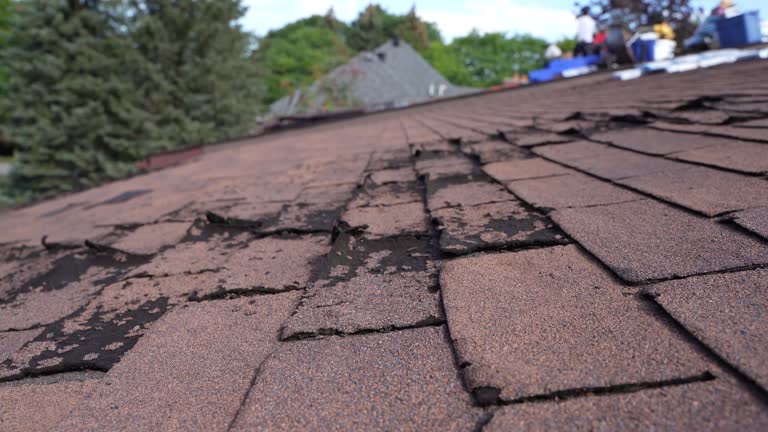 Best Steel Roofing  in Leesburg, VA