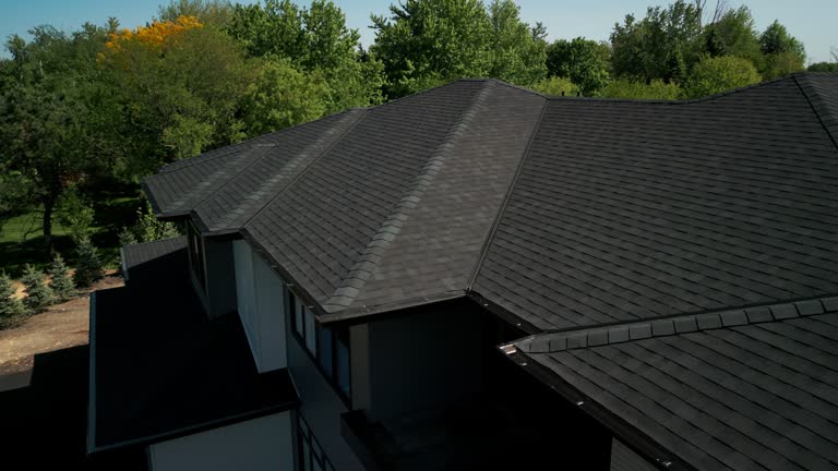 Best Roof Moss and Algae Removal  in Leesburg, VA