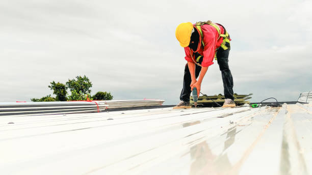 Best Roof Insulation Installation  in Leesburg, VA
