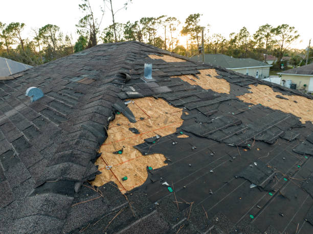 Best Roof Insulation Installation  in Leesburg, VA