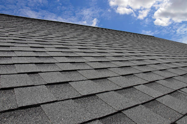 Best Solar Panel Roofing Installation  in Leesburg, VA